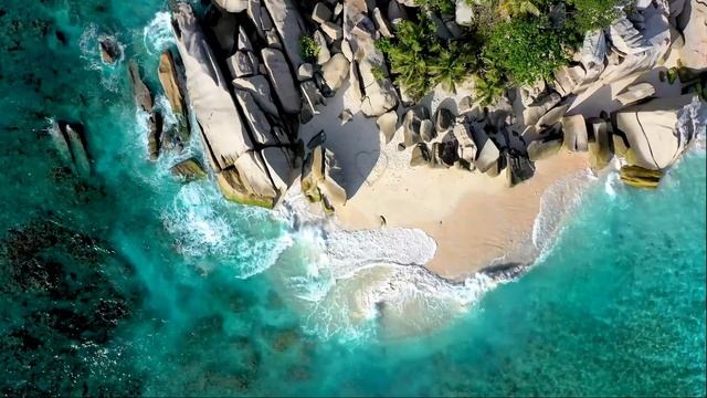 Sea Cliff mp4 смотреть онлайн