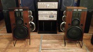 Акустика Электроника 25АС-033 из личной коллекции 01.1989г.в.