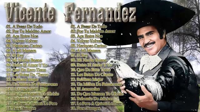 VICENTE FERNANDEZ VICENTE FERNANDEZ SUS MEJORES EXITOS 25 GRANDES EXITOS смотреть онлайн