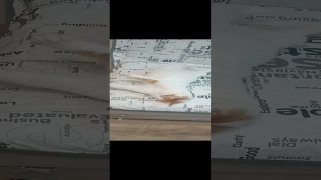 Кузя смотреть онлайн