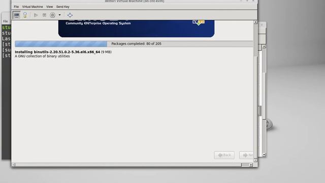 Installing your linux server смотреть онлайн