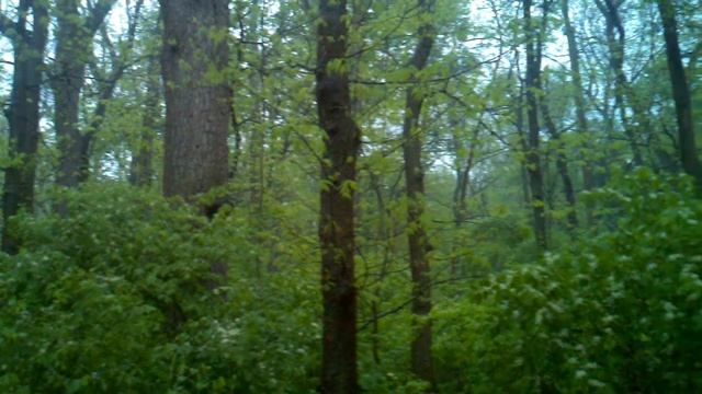 Thunderstorm perfection смотреть онлайн