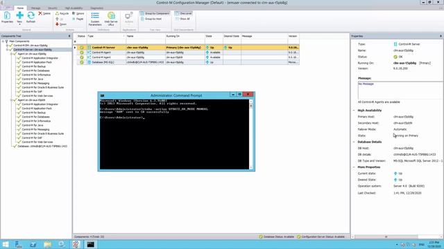 How to disable High Availability for Control-M/Server 9.0.00.100 and above? смотреть онлайн