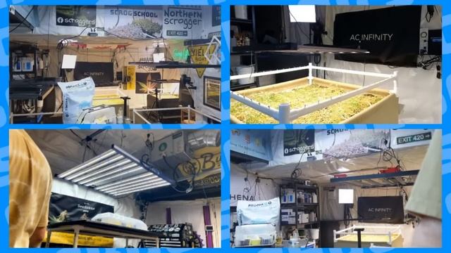 AC INFINITY SCROG SCHOOL WITH @NorthernScrogger - EPISODE 3: GERMINATION смотреть онлайн