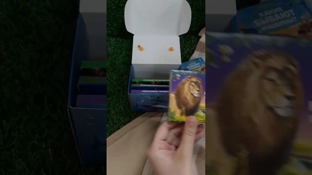 Сундук энциклопедий-малышек станет прекрасным подарком смотреть онлайн