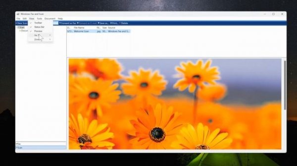 How to Scan a Document to Computer on Windows 11 (Fast Tutorial)