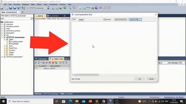 Tipe data dan Input Type yang cocok untuk data Foto/Berkas смотреть онлайн