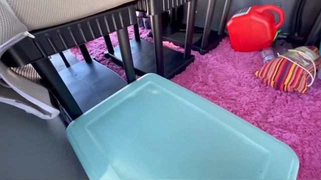 Minor changes with huge results || moving coras bed to the back of the van. смотреть онлайн