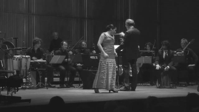 Dutch Flamenco Biennale 2011 - Mauricio Sotelo part 1 смотреть онлайн