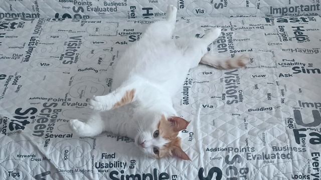 Кузя смотреть онлайн