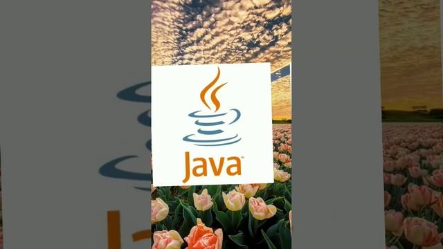 Лучшие языки программирования для разработки мобильных приложений смотреть онлайн