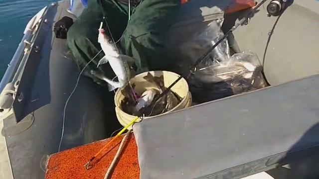 ЦМСС смотреть онлайн