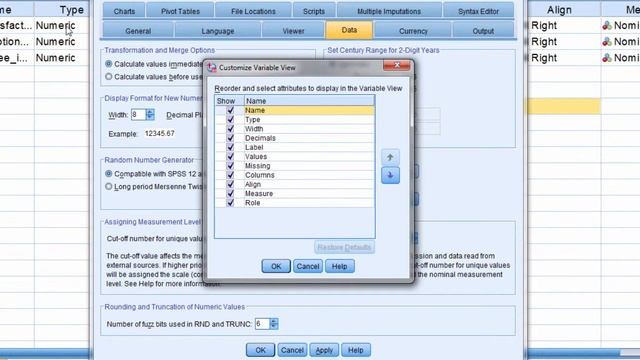 Modify Options in SPSS - Variable View Window смотреть онлайн