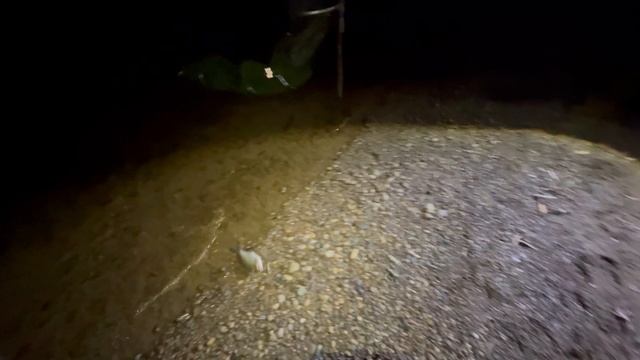 Попали на бешеный клев хищника смотреть онлайн