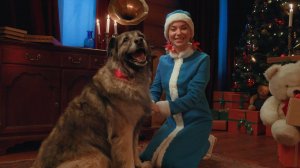 Видеопоздравление "Лохматые друзья Деда Мороза" (для нескольких детей)