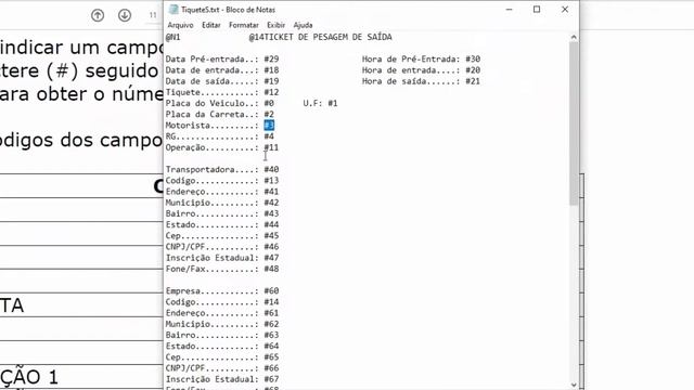 Conhecendo o software de pesagem WT-Rodo parte 7: Impressão смотреть онлайн