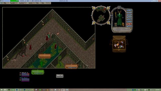 Ultima Online - Rel Por - Best feeling in the world! смотреть онлайн