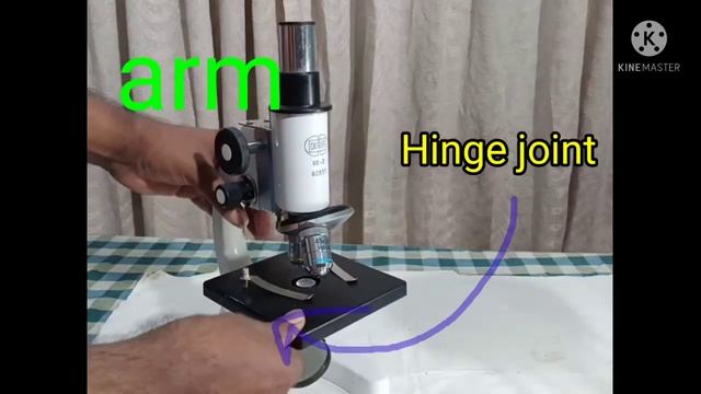 Plus One Plus Two Biology: Microscopy: : An Introduction to Compound Microscope or Light Microscope смотреть онлайн