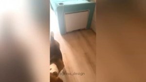 #отзыв комната для школьника мебель-трансформер