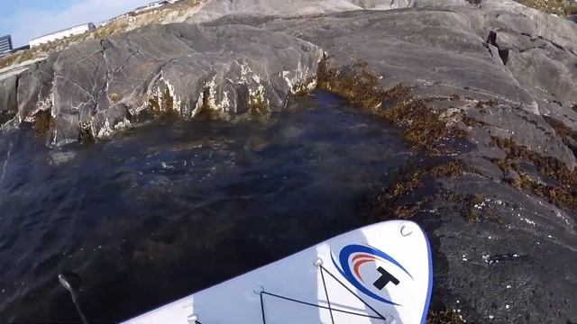 I love this interview! Greta & Naomi | Heading for COP 25 смотреть онлайн