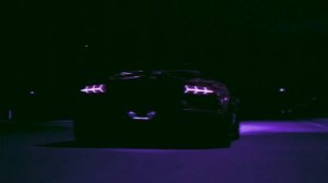 Darci - Rose Petals.mp4