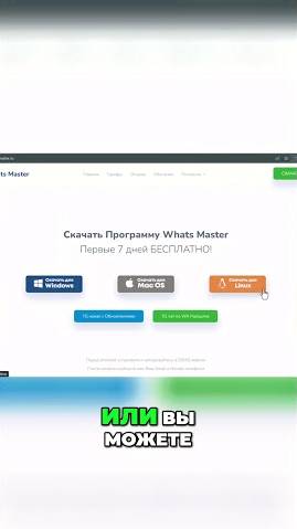 WhatsApp Рассылка  #whatsapp  #рассылка