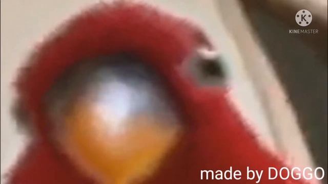 Red Bird meme aware scale and echno смотреть онлайн