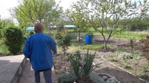 Прогуляемся. Кубань. Гостагаевская. Анапа