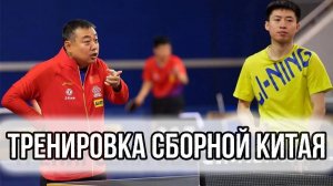 ТРЕНИРОВКА СБОРНОЙ КИТАЯ. Настольный теннис тренировка Китай. Ma long. Настольный теннис 2024