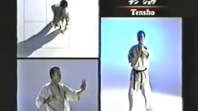 Энциклопедия Син-кекусинкай - Кендзи Мидори 2 смотреть онлайн