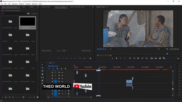 HOW TO SOLVE PLURAL_EYES_4 SEQUENCE CLIPS DISORDER AND TRACK SPLITTING (2020) смотреть онлайн