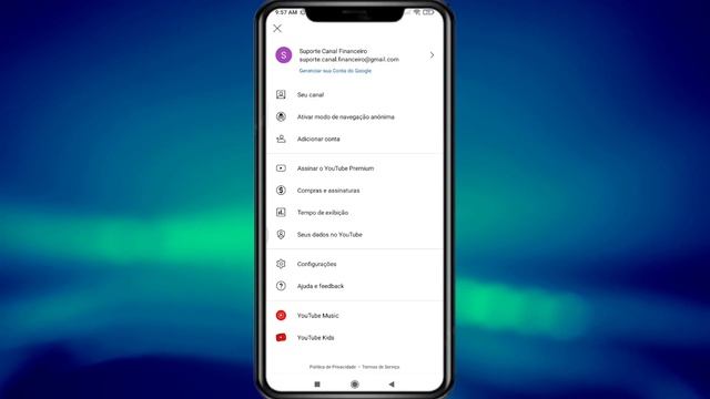 COMO BAIXAR YOUTUBE PREMIUM GRÁTIS смотреть онлайн