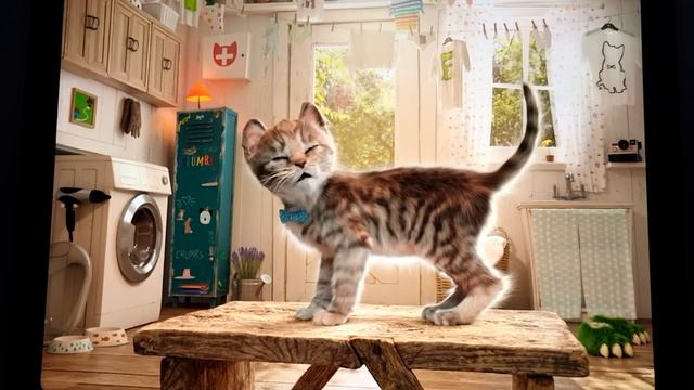 CUTE LITTLE KITTEN ADVENTURE - LEARNING FUN VIDEO WITH LITTLE KITTEN AND CAT - CARTOON GAME FOR KID