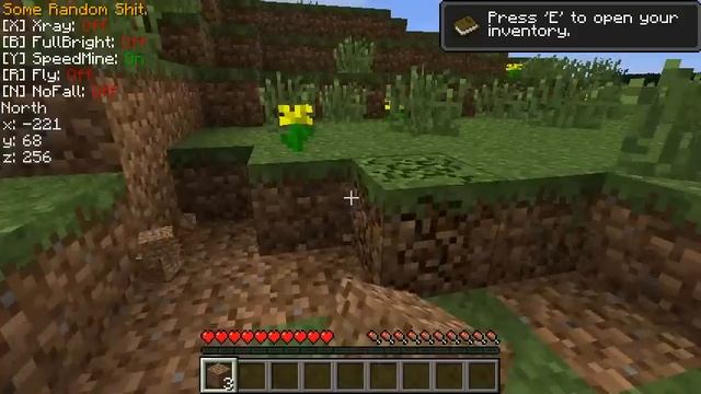 [CLIENT 1.2.3] Some Random Shit (fly, xray, fullbright, nofall) смотреть онлайн