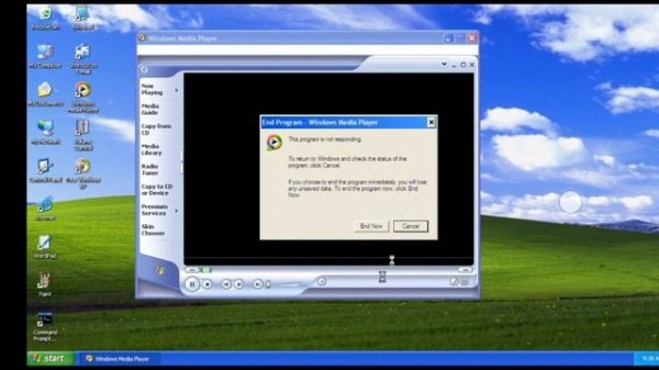Windows XP in Limbo PC Emulator.