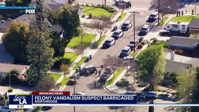 Felony vandalism suspect barricaded смотреть онлайн