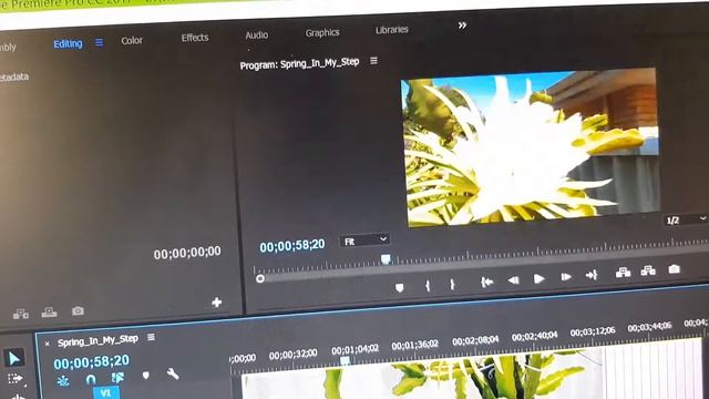 Adobe Premiere: Fix Preview Window Show Zoom In Video and Not Original Size смотреть онлайн