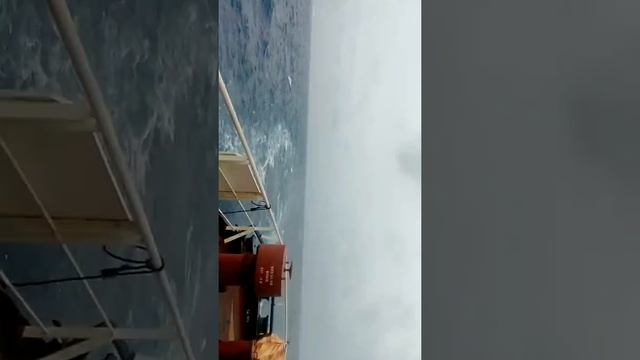 ship propeller wake смотреть онлайн