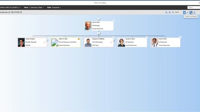 31-OrgPublisher HOLL Consulting -ESPAÑOL-Doble Reporte Linea de Comando Reporte Indirecto смотреть онлайн