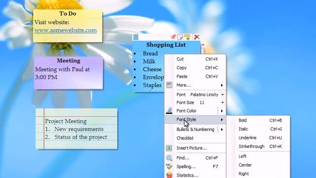 Windows: Modify sticky notes fonts, colors, skins & format text in Notezilla for Windows смотреть онлайн