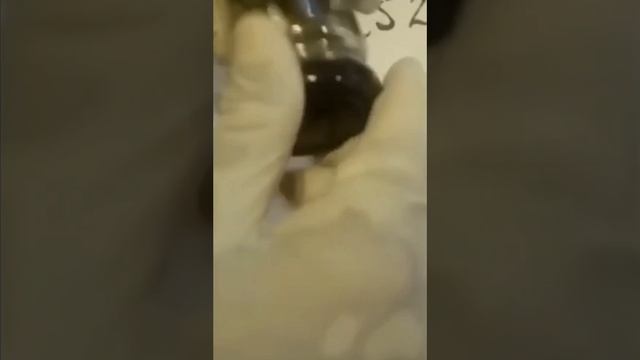 САМОЕ ДОРОГОЕ ВЕЩЕСТВО смотреть онлайн