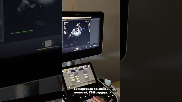 Венцова Анна Григорьевна смотреть онлайн