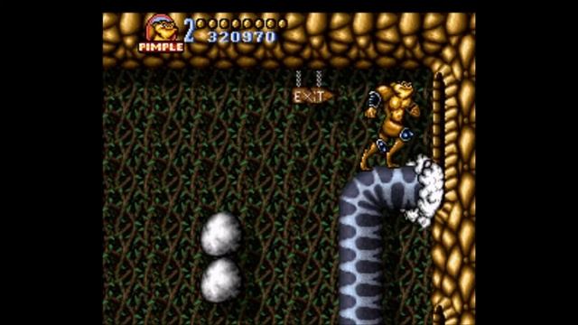 Battletoads In Battlemaniacs (SNES)