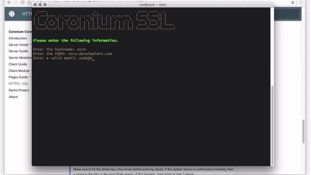 Coronium Core - Enable HTTPS / SSL смотреть онлайн