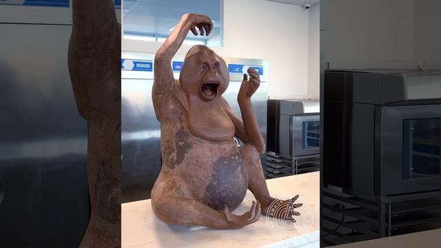 Chocolate Orangutan! смотреть онлайн