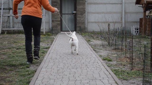 Бруно 2 смотреть онлайн