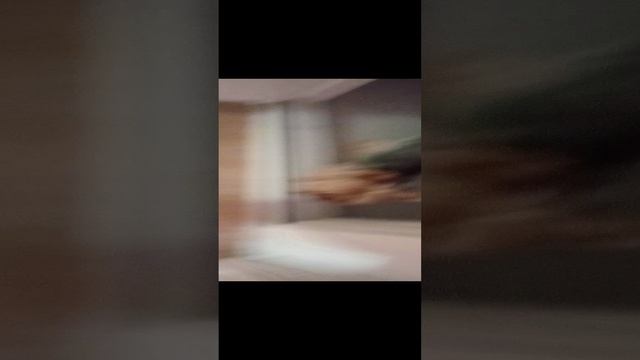 моя собака смотреть онлайн