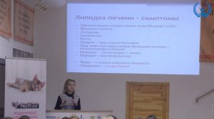 Ю. Ю. Дегтярева УЦ ЗООВЕТ | Заболевания печени у кошек и собак. Часть 1/4