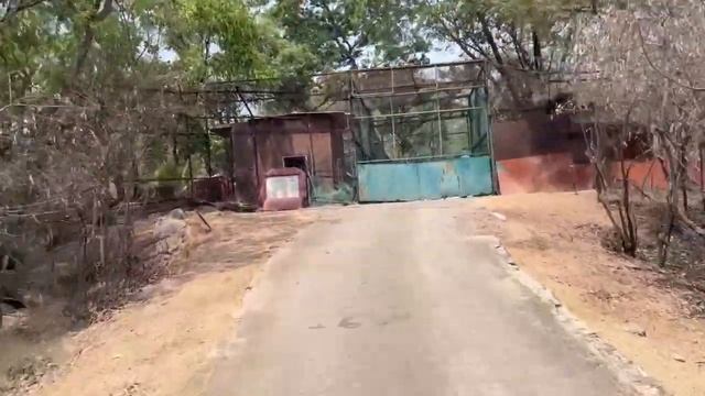 NEHRU ZOOLOGICAL PARK HYDERABAD | Complete Tour | Yaswanth Challagundla. смотреть онлайн