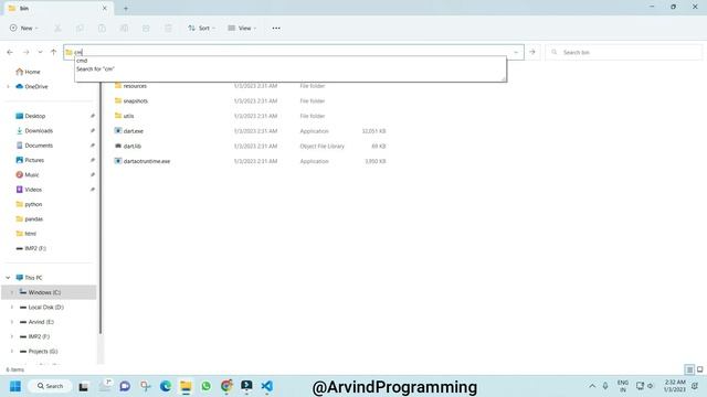 Dart SDK and Visual Studio Code Installation@arvindprogramming смотреть онлайн
